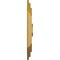 Ekena Millwork Felix Ceiling Medallion, Hand-Painted Iridescent Gold, 25 1/4"W x 17 1/4"H x 1 3/4"P CM25FEIGS - alternate 2